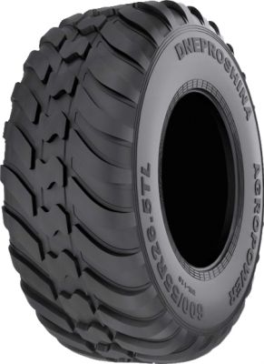 DNEPROSHINA DN-110 600/55 R26.5 165D TL
