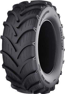 Dneproshina DN-165