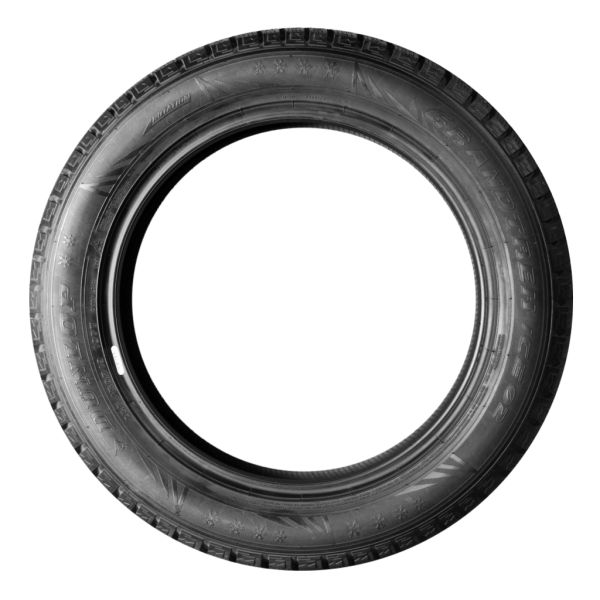 DUNLOP GRANDTREK ICE 02 255/50 R19 107T (ШИП) Світлина 3