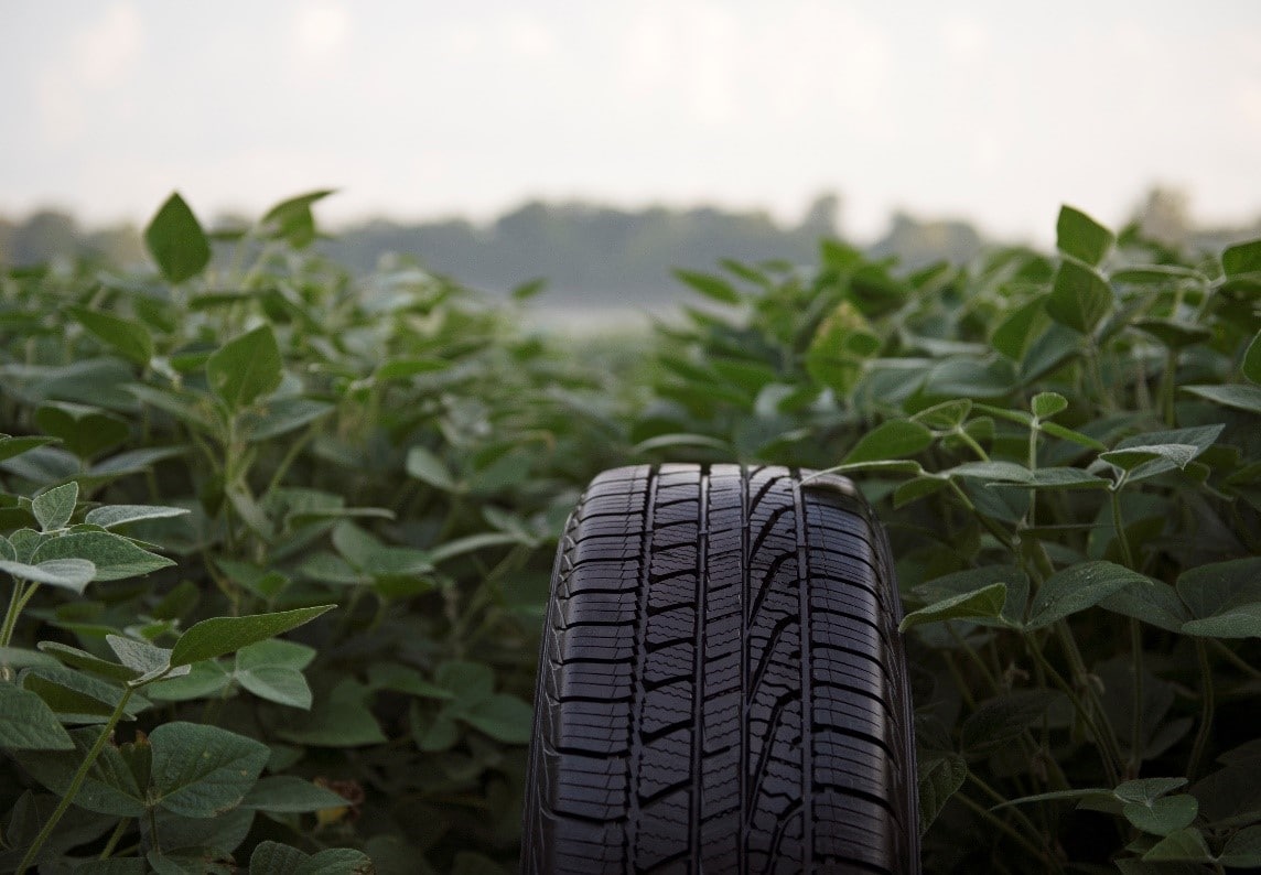 До 2040-го року Goodyear використовуватиме соєву олію у всіх своїх шинах