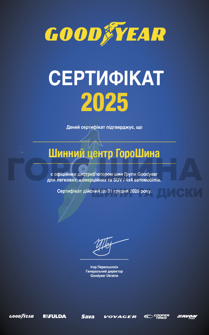 ГороШина и Goodyear: успешное сотрудничество продолжается в 2025 году - Фотография